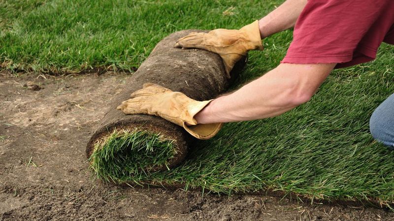 Differences Between Deep and Regular Stump Grinding in Fort Myers, FL